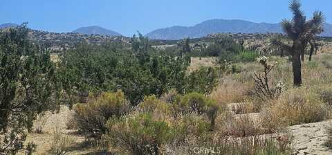0 Avenue X / 136th St E, Pearblossom, CA 93553