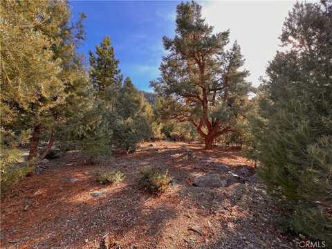 15120 Acacia Way, Pine Mountain Club, CA 93222