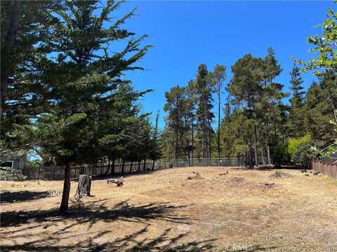 0 Warren Road, Cambria, CA 93428