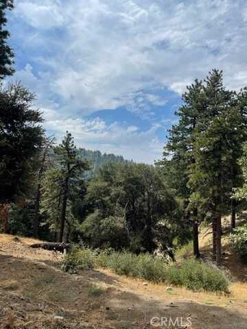 0 Cochran Rd, Cedarpines Park, CA 92391