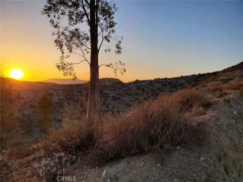 45050 Gopher Road, Aguanga, CA 92536