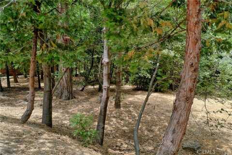 27513 Meadow Bay Drive, Lake Arrowhead, CA 92352