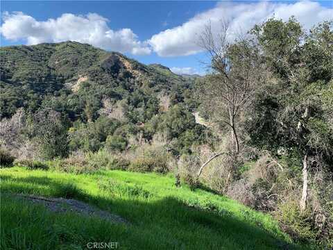 0 Vacant Lot, Topanga, CA 90290