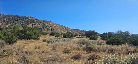 0 Soledad Pass Road, Acton, CA 93510