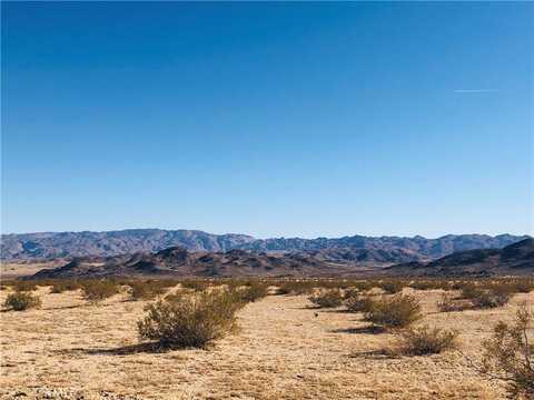 5 Desert Lily, Joshua Tree, CA 92252