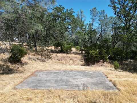 16275 Oakridge Road, Corning, CA 96021