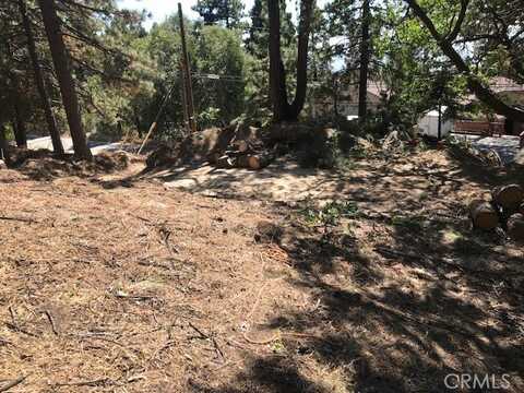 31760 CITY CREEK Road, Running Springs, CA 92382