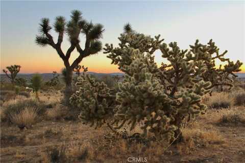 7635 La Contenta Road, Joshua Tree, CA 92284