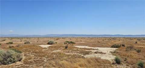 0 Avenue X4, Llano, CA 93544