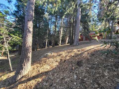 0 Scenic View 0340-282-11 Drive, Crestline, CA 92325