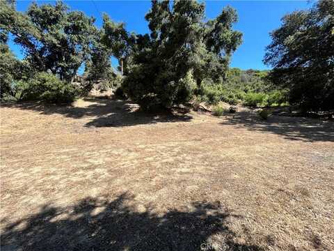 0 Spunky Canyon Road, Green Valley, CA 91390