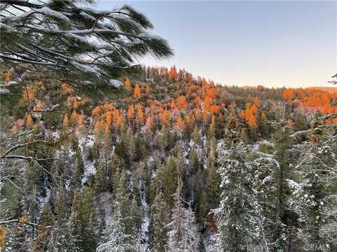 117 Falling Leaf Lane, Arrowbear, CA 92382