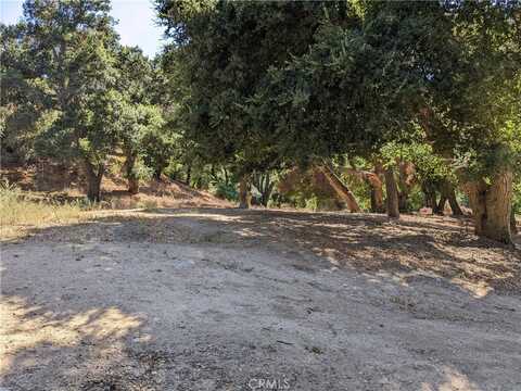 0 San Francisquito Cyn Road, Green Valley, CA 91350