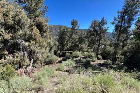 2426 Cedarwood Drive, Pine Mountain Club, CA 93222