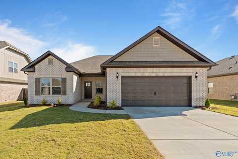 Winston Saddle Street, New Market, AL 35761
