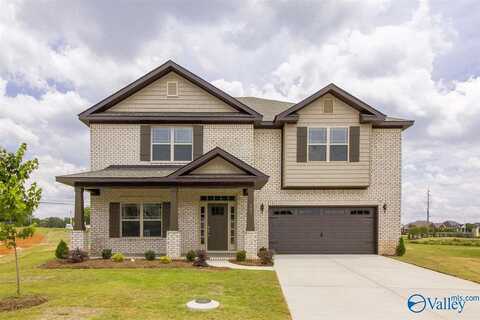 1115 Virtue Way, Harvest, AL 35749