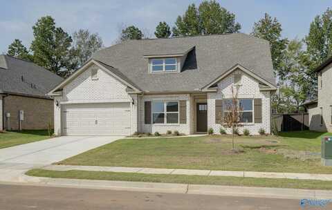 125 Striker Lane, Harvest, AL 35749