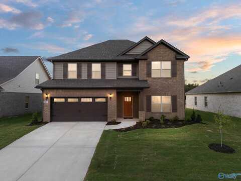 202 Pantene Drive, Huntsville, AL 35811