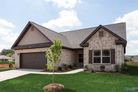 Raleigh Saddle Street, New Market, AL 35761