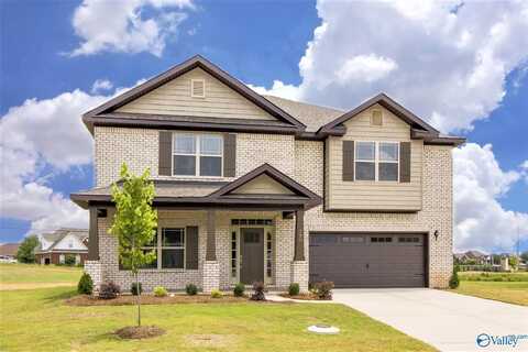 Manhattan Saddle Street, New Market, AL 35761