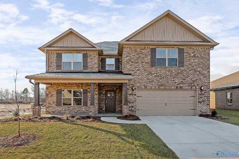 Revere 2 Saddle Street, New Market, AL 35761