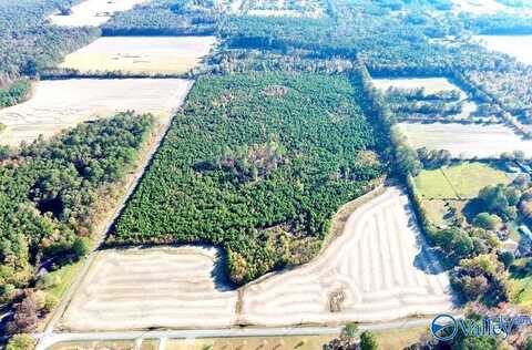 69 Acres Wilson Mann Road, Owens Cross Roads, AL 35763