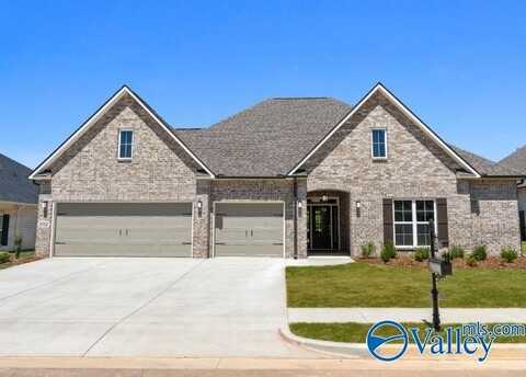 102 Pebblestream Drive, Madison, AL 35756