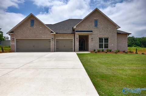 102 Pebblestream Drive, Madison, AL 35756