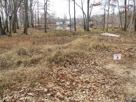 Lot8nickelscove County Road 182, Cedar Bluff, AL 35959