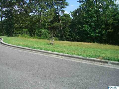 Lot 26 Paradise Place, Scottsboro, AL 35769