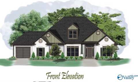 Cary 2 Plan Lomond Branch, Madison, AL 35756