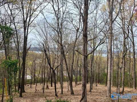 Lot 4 Creek Circle, Guntersville, AL 35976