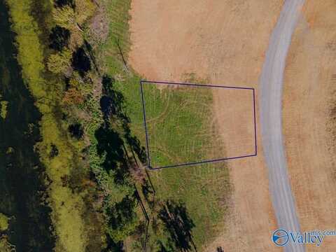 Lot 4 Lake Creek Drive, Guntersville, AL 35976