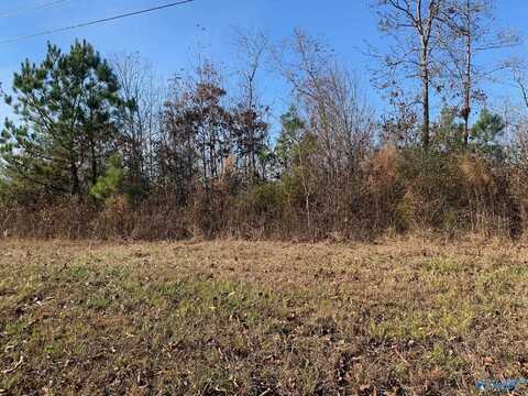 19.5 Acres Mccrary Road, Hollywood, AL 35752