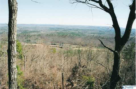 Lot 67 County Road 103, Mentone, AL 35984