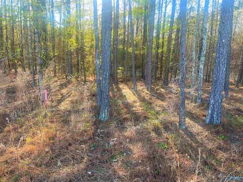 Lot 2 Summer Breeze Drive, Cedar Bluff, AL 35959