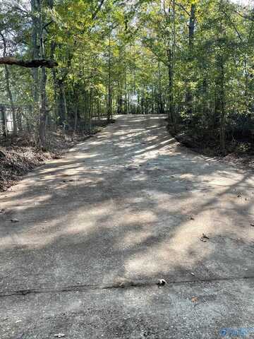 7081 County Road 47, Blountsville, AL 35031