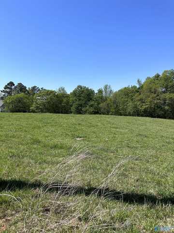 75 Acres Upper Fort Hampton Road, Elkmont, AL 35620