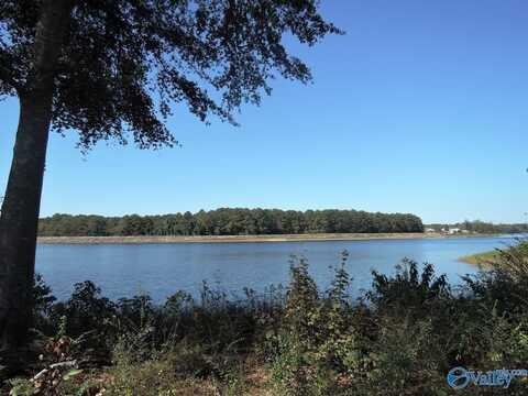 Lot 31 County Road 1462, Cullman, AL 35055