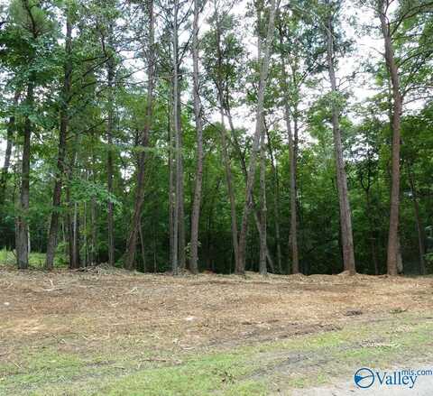 76 Harbor Lights Trail, Jasper, AL 35504