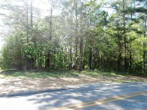 Lot 1 Arrowhead Drive, Jasper, AL 35504