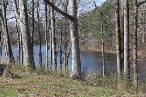 9 Acres +/- County Road 1464, Cullman, AL 35058