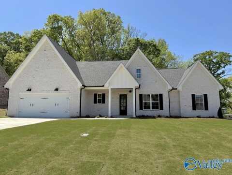 90 Tumbleweed Drive, Guntersville, AL 35976