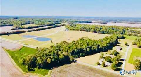 17 Acres Burwell Road, Harvest, AL 35749