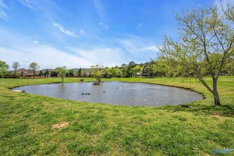 7.71 Acs Old Big Cove Road, Owens Cross Roads, AL 35763