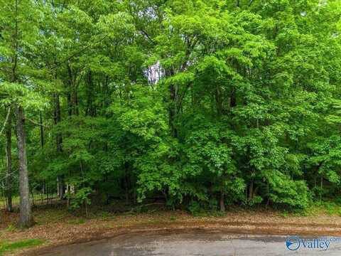 24415 Hickory Drive, Elkmont, AL 35620