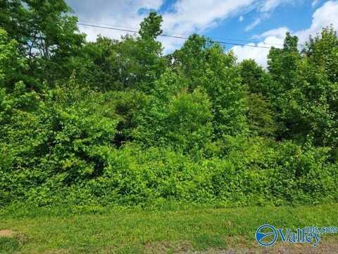 Lot Dolphin Point Drive, Langston, AL 35755