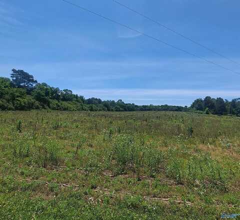 2390 Martling Gap Road, Albertville, AL 35951