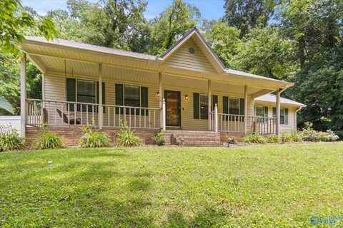 1620 Lusk Street, Guntersville, AL 35976