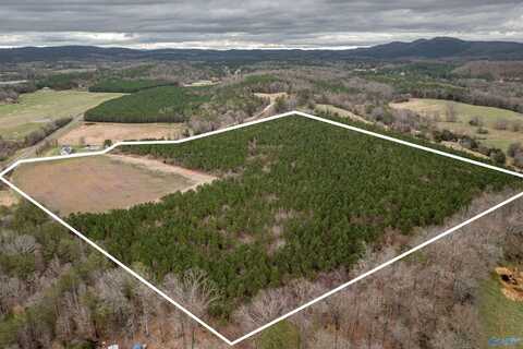 40 Acre County Road 29, Piedmont, AL 36272